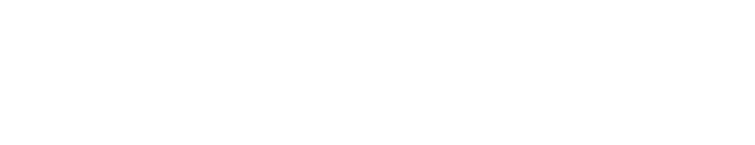 American Research Institute of the South Caucasus